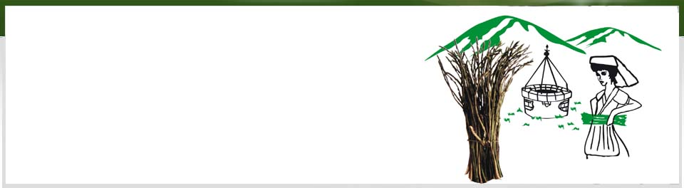 FIERA DELL\' ASPARAGO DI MONTAGNA